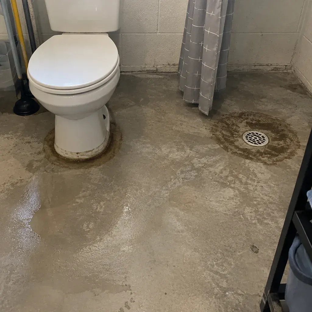 What to Do After a Sewer Backup sewer backup cleanup in Provo, UT