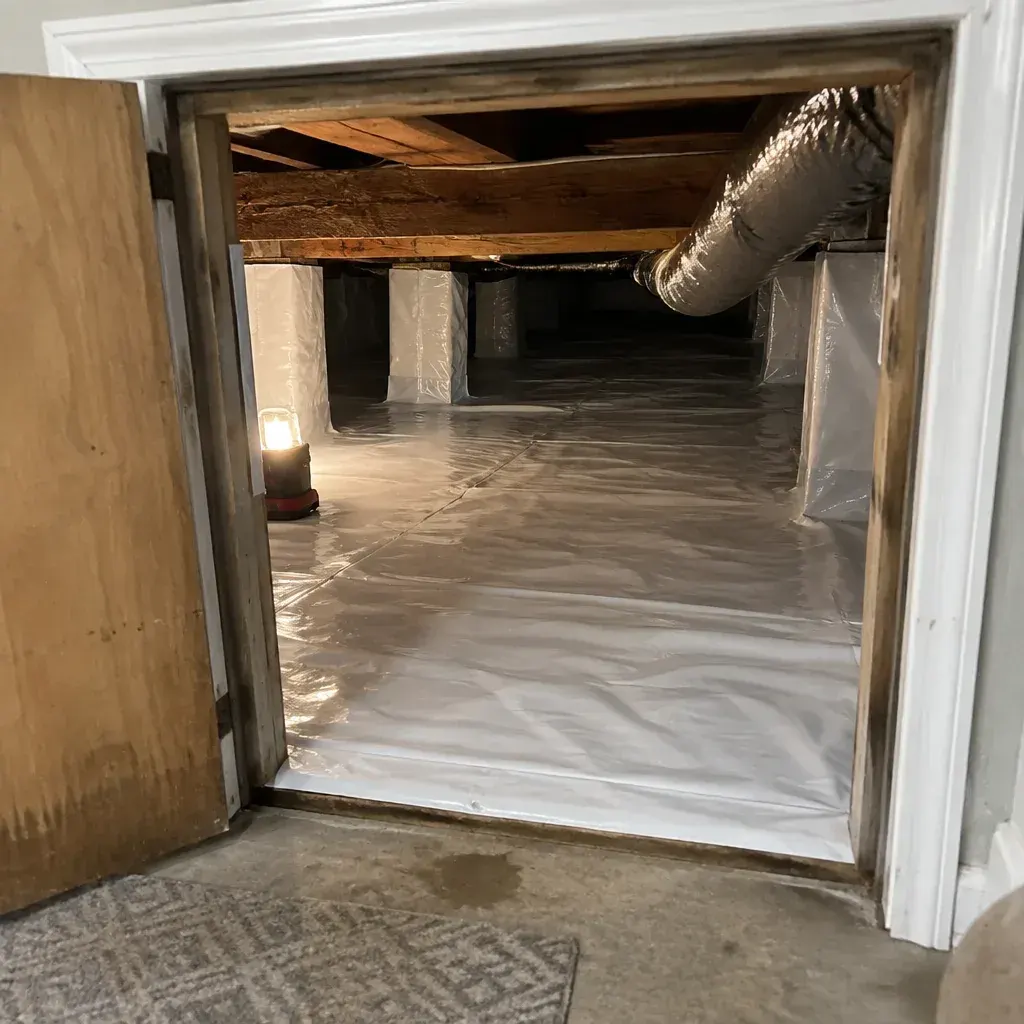 Crawl Space Sewage Cleanup service in Provo, UT
